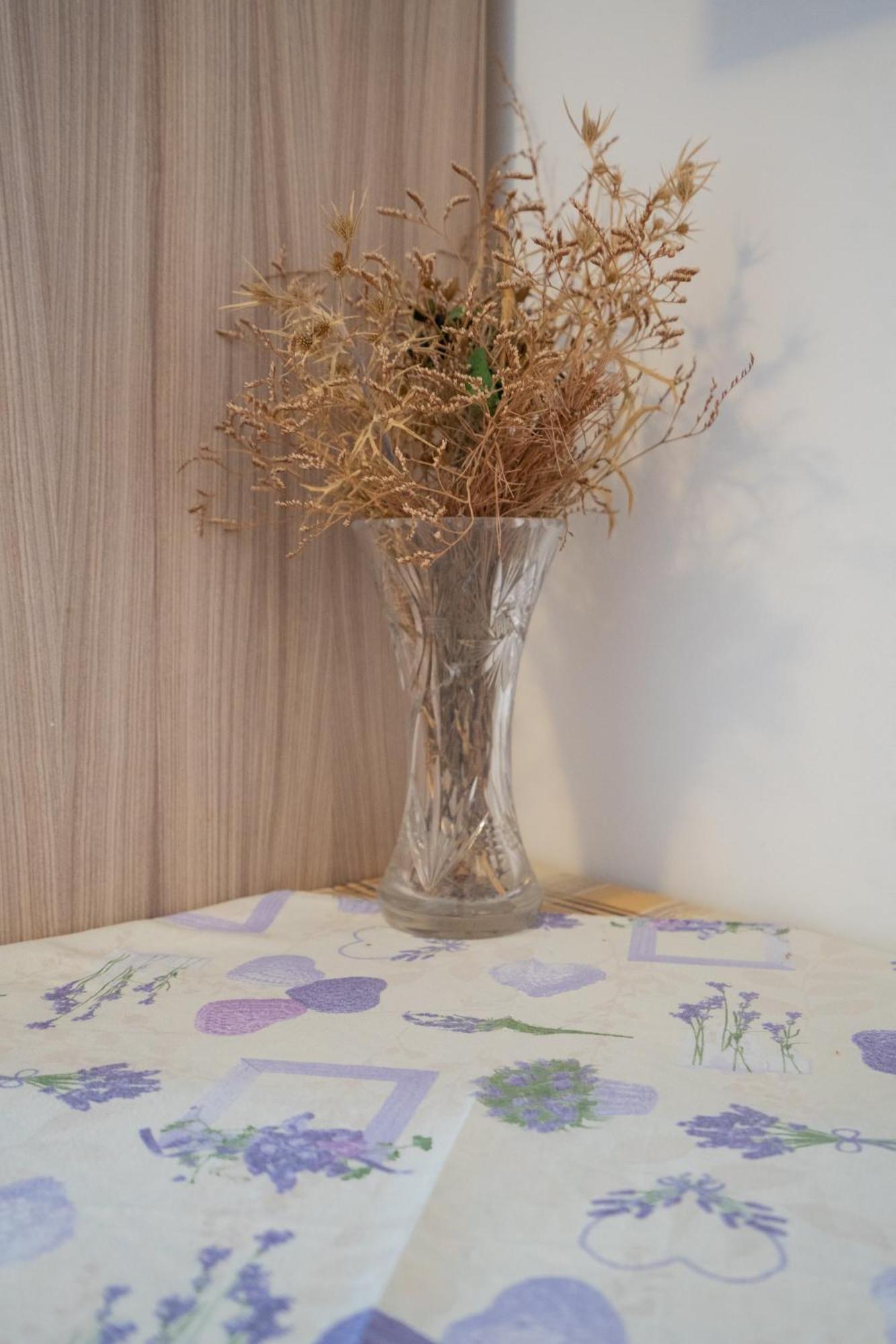 נובליה Apartmani Vidusin מראה חיצוני תמונה
